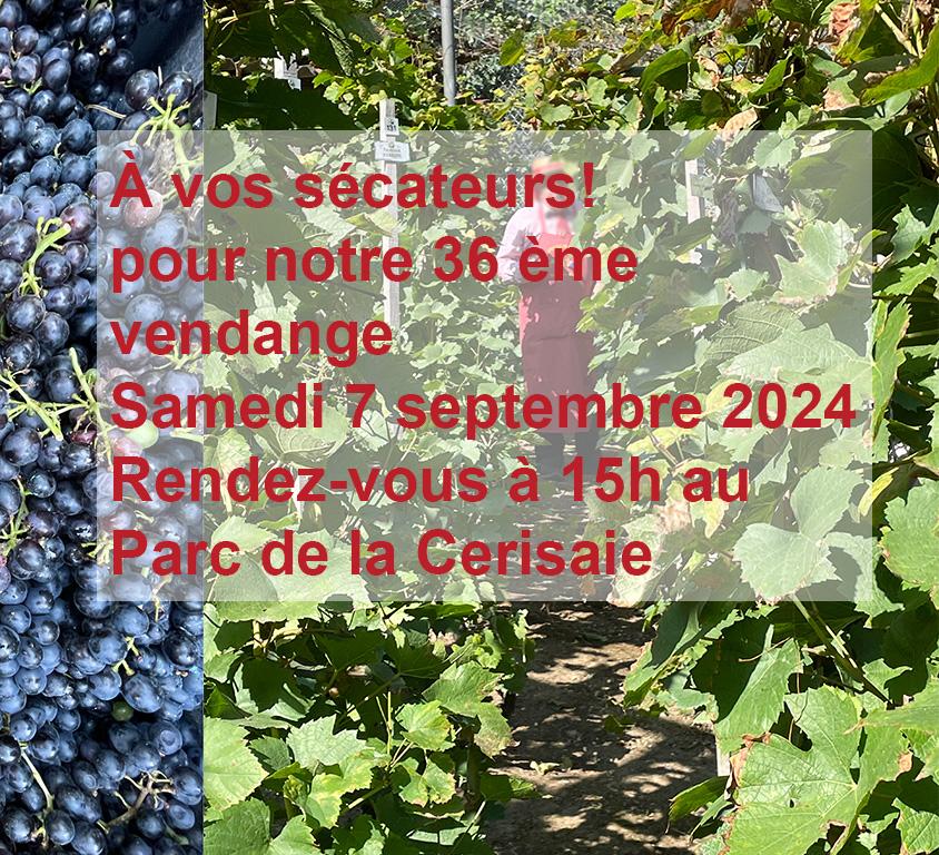 Vendanges